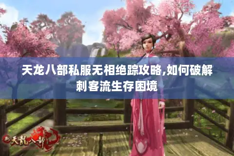 天龙八部私服无相绝踪攻略,如何破解刺客流生存困境