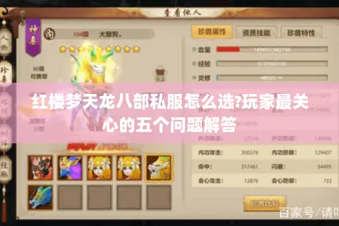 红楼梦天龙八部私服怎么选?玩家最关心的五个问题解答