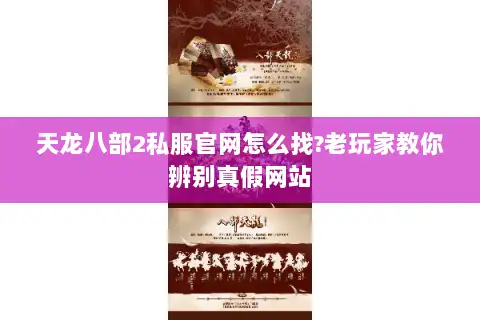 天龙八部2私服官网怎么找?老玩家教你辨别真假网站