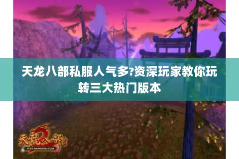 天龙八部私服人气多?资深玩家教你玩转三大热门版本