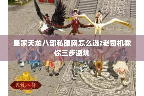 皇家天龙八部私服网怎么选?老司机教你三步避坑