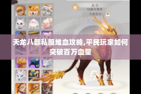 天龙八部私服堆血攻略,平民玩家如何突破百万血量
