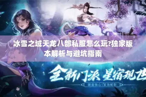 冰雪之域天龙八部私服怎么玩?独家版本解析与避坑指南