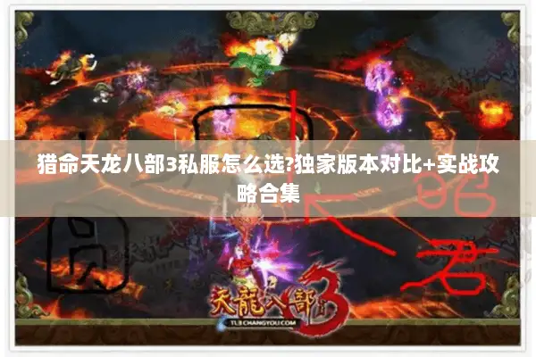 猎命天龙八部3私服怎么选?独家版本对比+实战攻略合集