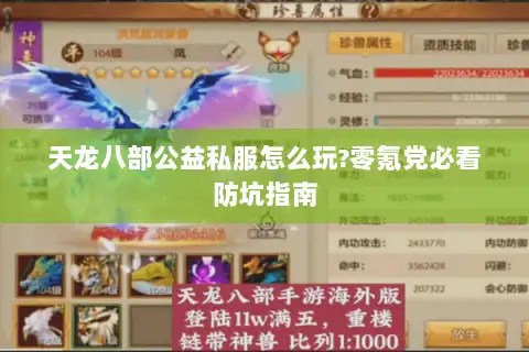 天龙八部公益私服怎么玩?零氪党必看防坑指南