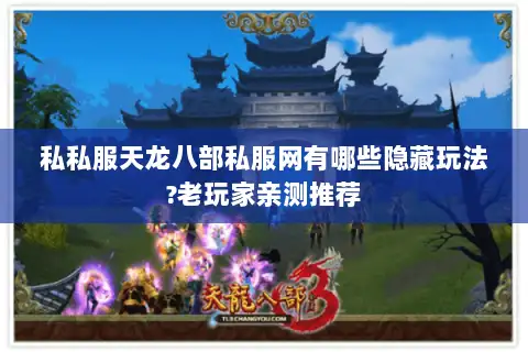 私私服天龙八部私服网有哪些隐藏玩法?老玩家亲测推荐
