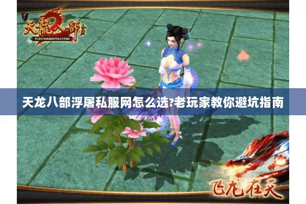 天龙八部浮屠私服网怎么选?老玩家教你避坑指南