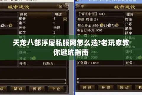 天龙八部浮屠私服网怎么选?老玩家教你避坑指南