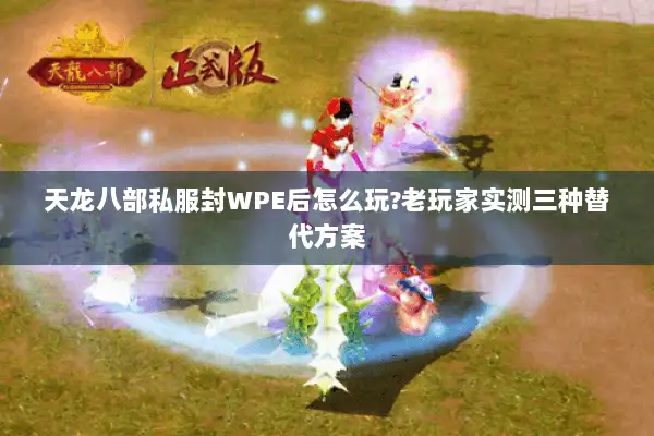 天龙八部私服封WPE后怎么玩?老玩家实测三种替代方案 天龙八部私服封WPE后怎么玩?老玩家实测三种替代方案