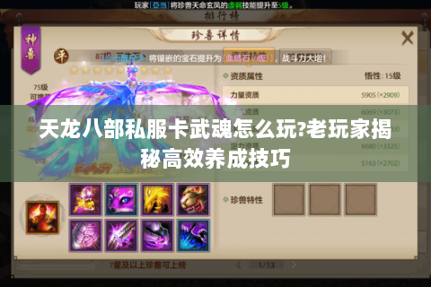天龙八部私服卡武魂怎么玩?老玩家揭秘高效养成技巧 天龙八部私服卡武魂怎么玩?老玩家揭秘高效养成技巧