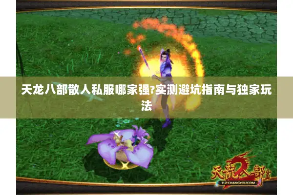 天龙八部散人私服哪家强?实测避坑指南与独家玩法