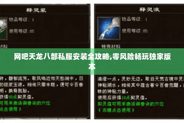 网吧天龙八部私服安装全攻略,零风险畅玩独家版本