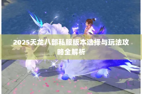 2025天龙八部私服版本选择与玩法攻略全解析 2025天龙八部私服版本选择与玩法攻略全解析