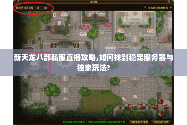 新天龙八部私服直播攻略,如何找到稳定服务器与独家玩法?