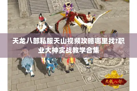 天龙八部私服天山视频攻略哪里找?职业大神实战教学合集