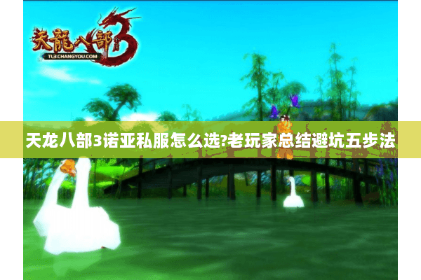 天龙八部3诺亚私服怎么选?老玩家总结避坑五步法