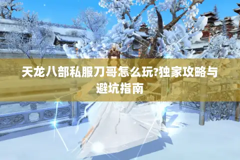 天龙八部私服刀哥怎么玩?独家攻略与避坑指南