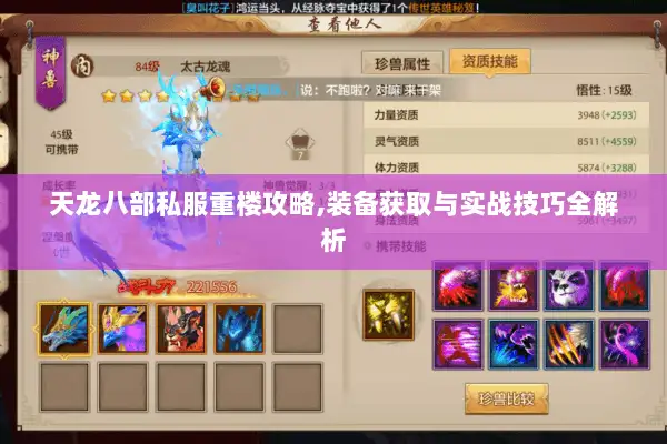天龙八部私服重楼攻略,装备获取与实战技巧全解析 天龙八部私服重楼攻略,装备获取与实战技巧全解析