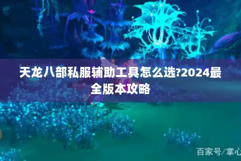 天龙八部私服辅助工具怎么选?2024最全版本攻略 天龙八部私服辅助工具怎么选?2024最全版本攻略