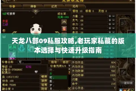 天龙八部09私服攻略,老玩家私藏的版本选择与快速升级指南 天龙八部09私服攻略,老玩家私藏的版本选择与快速升级指南