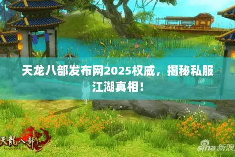 天龙八部发布网2025权威,揭秘私服江湖真相! 天龙八部发布网2025权威,揭秘私服江湖真相!