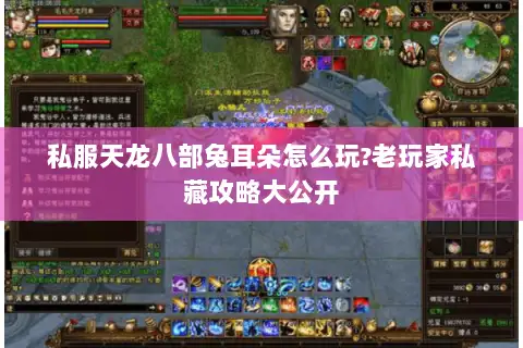 私服天龙八部兔耳朵怎么玩?老玩家私藏攻略大公开