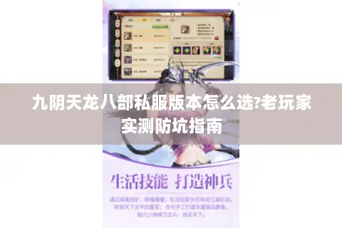 九阴天龙八部私服版本怎么选?老玩家实测防坑指南