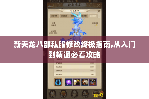 新天龙八部私服修改终极指南,从入门到精通必看攻略