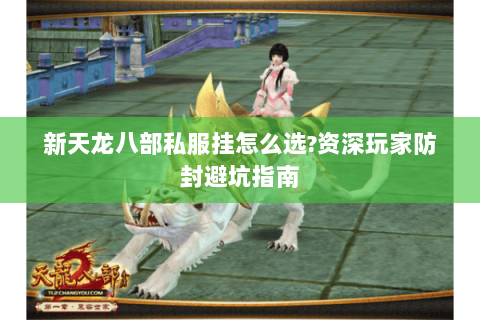 新天龙八部私服挂怎么选?资深玩家防封避坑指南 新天龙八部私服挂怎么选?资深玩家防封避坑指南