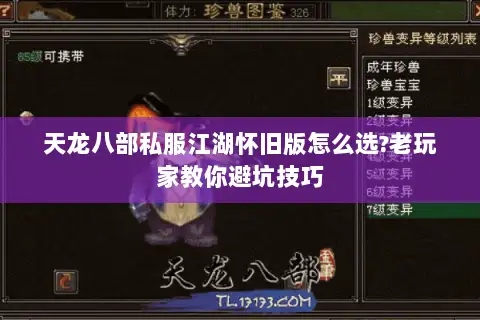 天龙八部私服江湖怀旧版怎么选?老玩家教你避坑技巧