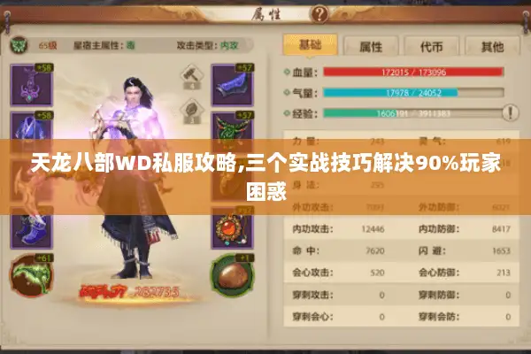 天龙八部WD私服攻略,三个实战技巧解决90%玩家困惑