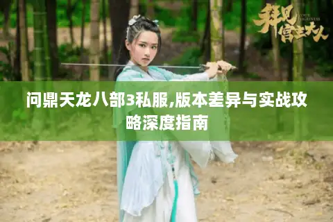 问鼎天龙八部3私服,版本差异与实战攻略深度指南