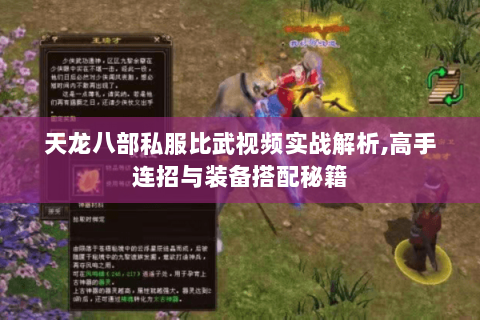 天龙八部私服比武视频实战解析,高手连招与装备搭配秘籍