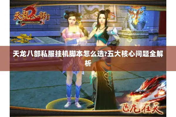 天龙八部私服挂机脚本怎么选?五大核心问题全解析