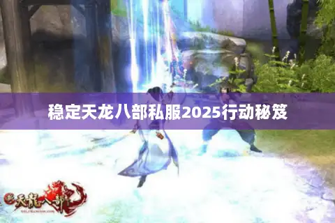 稳定天龙八部私服2025行动秘笈