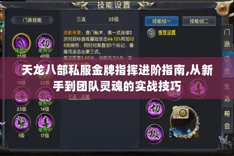 天龙八部私服金牌指挥进阶指南,从新手到团队灵魂的实战技巧