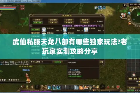 武仙私服天龙八部有哪些独家玩法?老玩家实测攻略分享