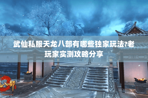 武仙私服天龙八部有哪些独家玩法?老玩家实测攻略分享