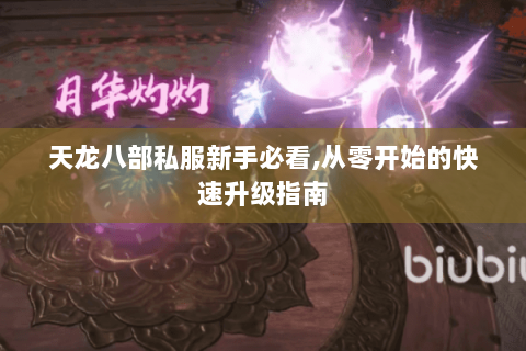 天龙八部私服新手必看,从零开始的快速升级指南