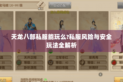 天龙八部私服能玩么?私服风险与安全玩法全解析