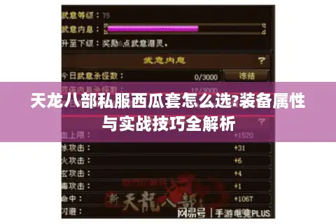 天龙八部私服西瓜套怎么选?装备属性与实战技巧全解析