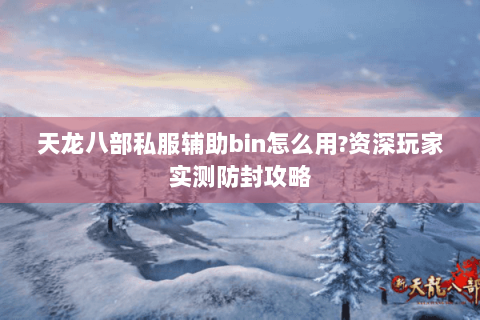 天龙八部私服辅助bin怎么用?资深玩家实测防封攻略