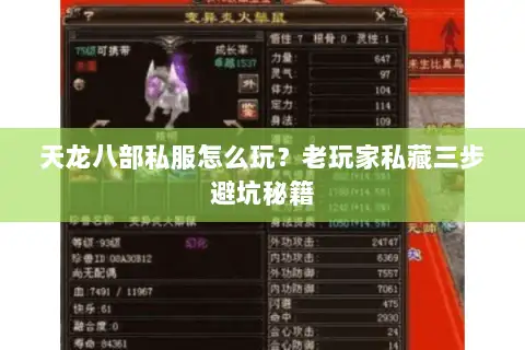 天龙八部私服怎么玩?老玩家私藏三步避坑秘籍 天龙八部私服怎么玩?老玩家私藏三步避坑秘籍