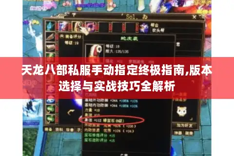 天龙八部私服手动指定终极指南,版本选择与实战技巧全解析