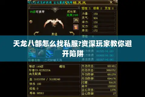 天龙八部怎么找私服?资深玩家教你避开陷阱