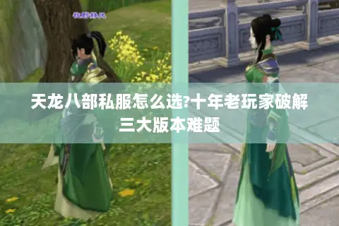 天龙八部私服怎么选?十年老玩家破解三大版本难题 天龙八部私服怎么选?十年老玩家破解三大版本难题