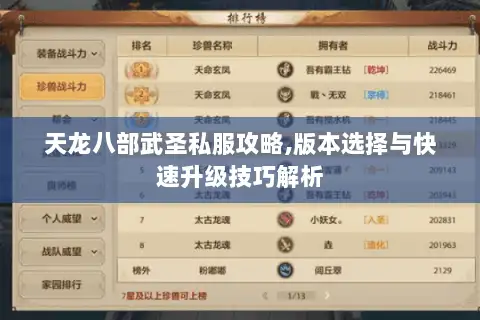 天龙八部武圣私服攻略,版本选择与快速升级技巧解析