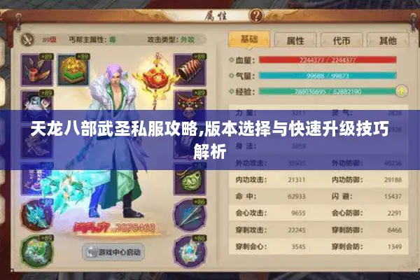 天龙八部武圣私服攻略,版本选择与快速升级技巧解析 天龙八部武圣私服攻略,版本选择与快速升级技巧解析