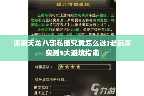 海南天龙八部私服究竟怎么选?老玩家实测5大避坑指南