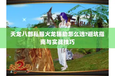 天龙八部私服火龙辅助怎么选?避坑指南与实战技巧 天龙八部私服火龙辅助怎么选?避坑指南与实战技巧